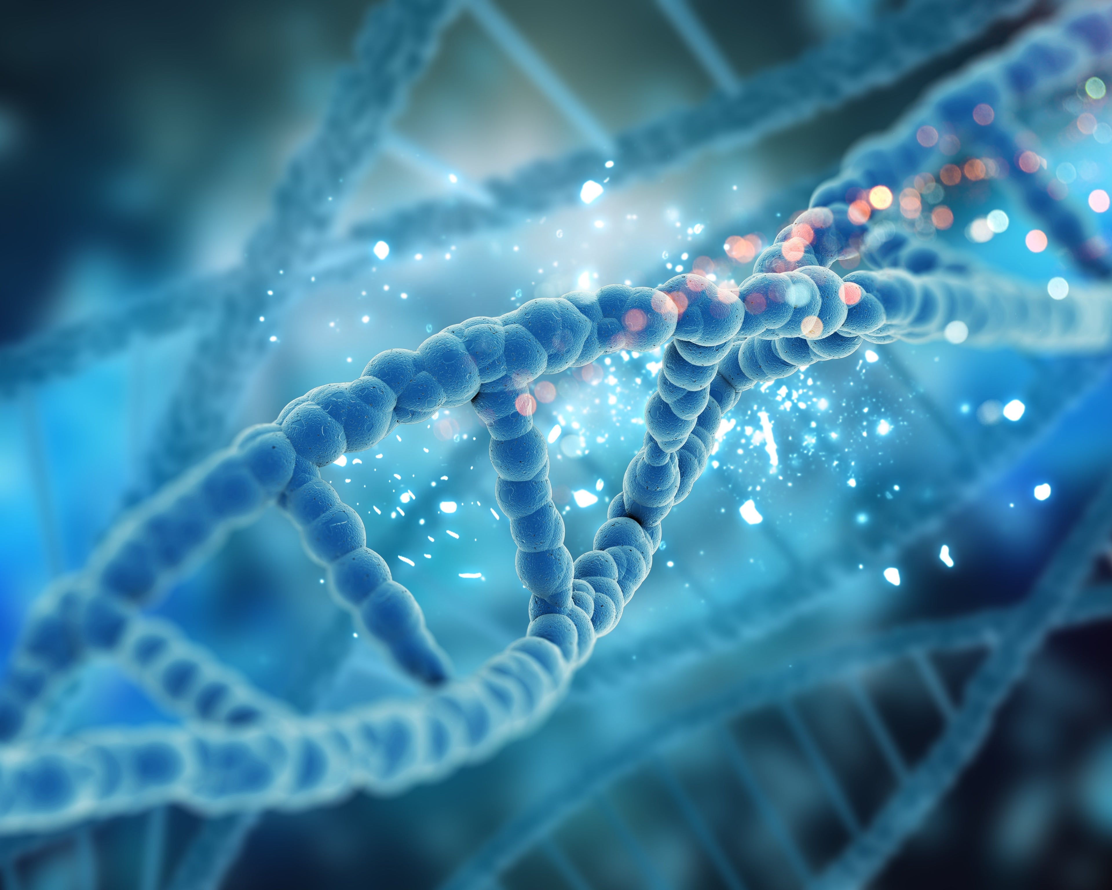 내면에서 시작하는 근본적인 세포 재생과 항노화 솔루션 줄기세포(Stem Cell Therapy)